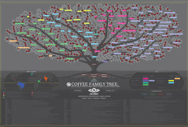 Cafe Imports Kahve Aile Ağacı Haritası