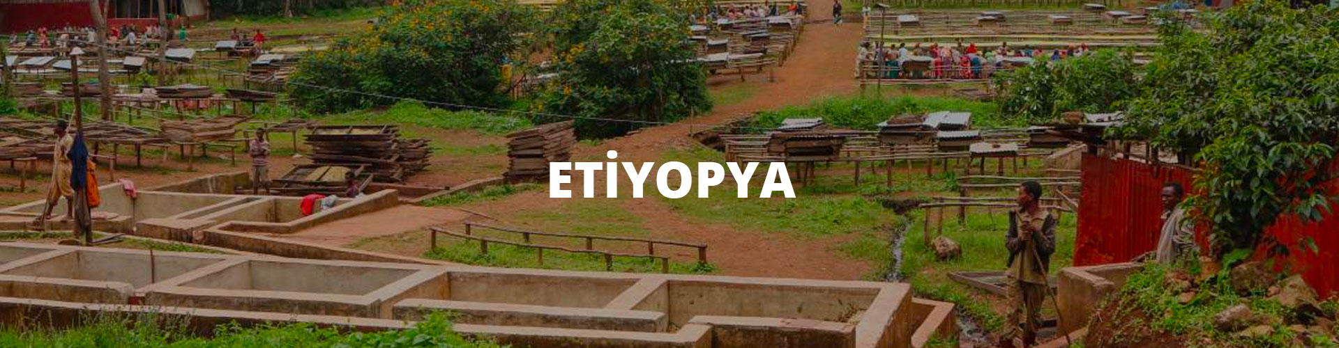 etiyopya